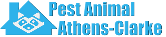 Athens-Clarke Wildlife and Animal Removal